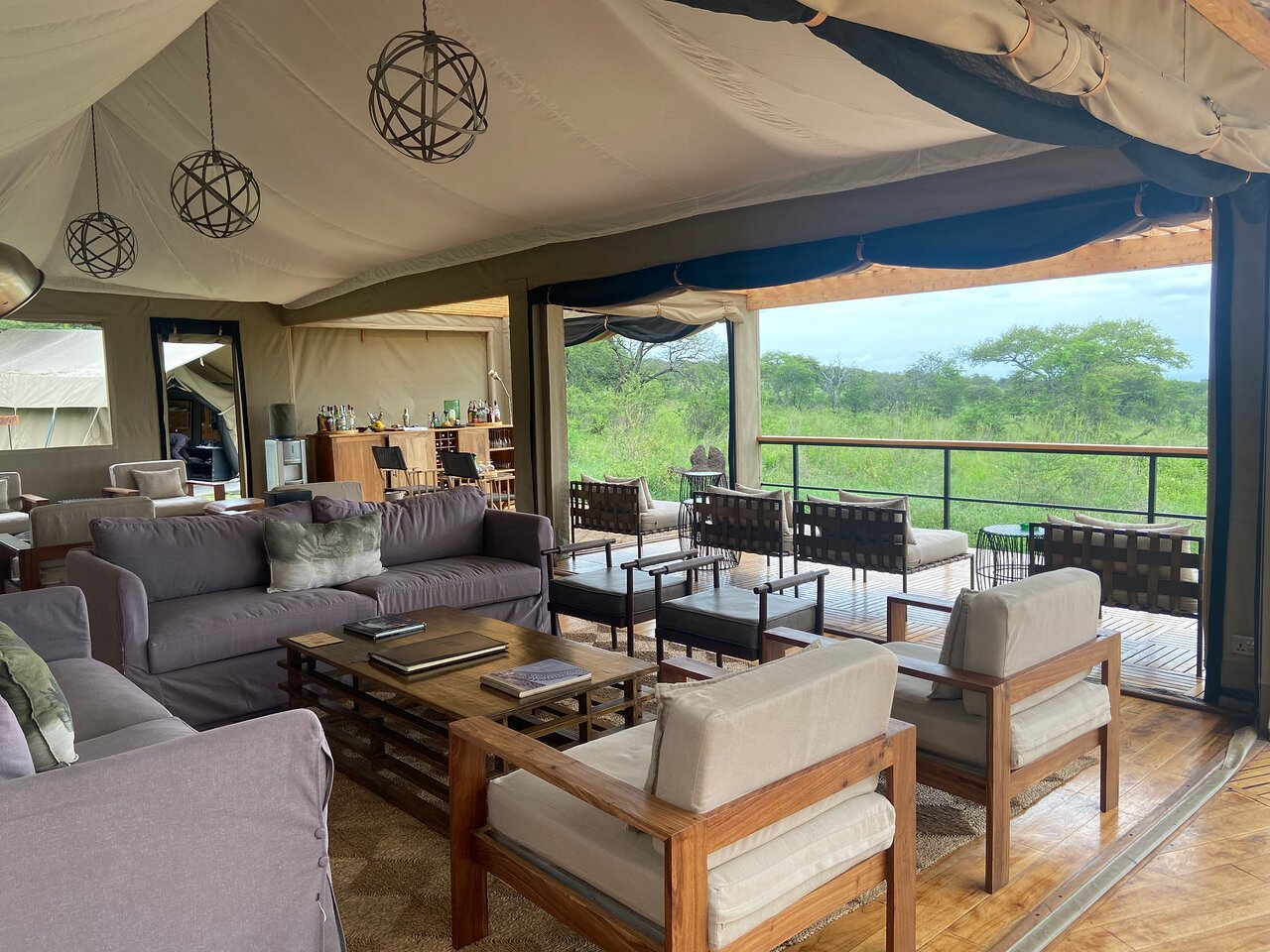 chimpanzee forest guest house